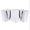 Luxury Custom Size Package Paper Handle Paper Bag Kraft Paper Shopping Bag