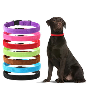 Latest Designer 7 Colors 5 Sizes Velvet Dog Collar with Reflective Soft Comfortable Fur Decoration Solid Pattern