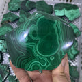Wholesale Natural Malachite Stone Healing Crystal Slice Malachite Slice for Home Decoration