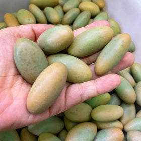 Wholesale Landscaping Pebble Glowing Stones Luminous Stone