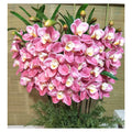 3D Cymbidium  Decoration Mariage Artificial Flowers Decorative