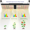 Replace HPS 240W LM301H UV Full Spectrum Warm White 4x4 Coverage Water Cooled LED Pro Grow Light 120-277V for Bloom