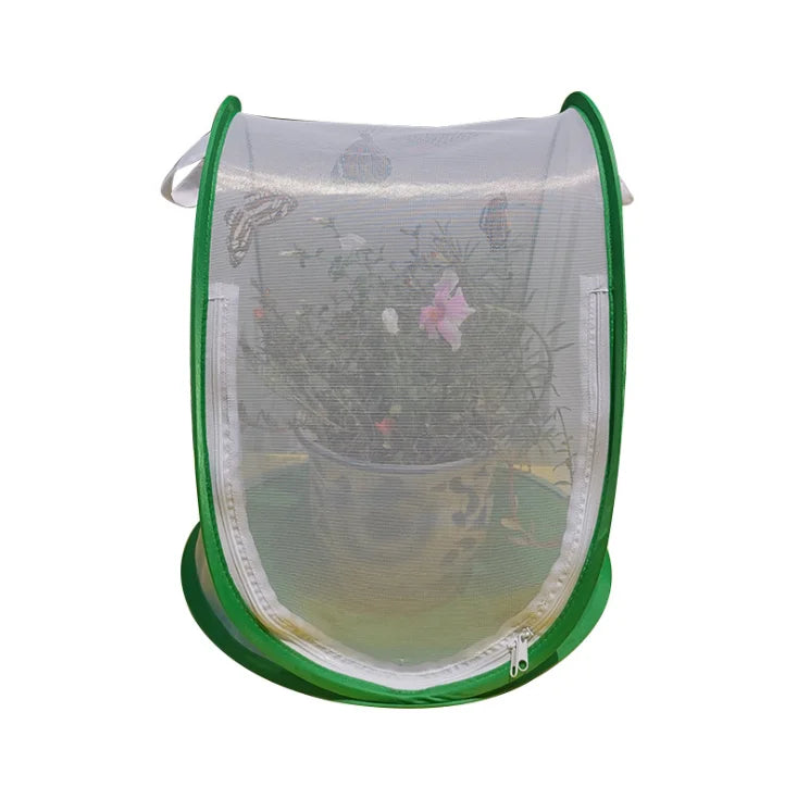 33x37cm Stock Available Collapsible Design for Easy Storage and Reusable Pop-up butterfly Breeding Cages