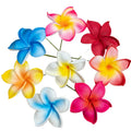 Island 8CM EVA Foam Artificial Plumeria Hair Pick Hawaii Frangipani Ear Pick Crown Flower