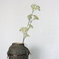 TG062 Wholesale Artificial Flowers Plastic Flowers Green Plants Clove Beans Wedding Decoration Flowers