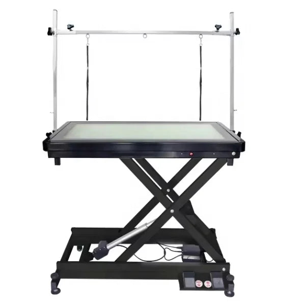 USMILEPET Best Seller Pet Equipment Crystal Electric Wheeled Pet Grooming Table for Pet Hair Salons