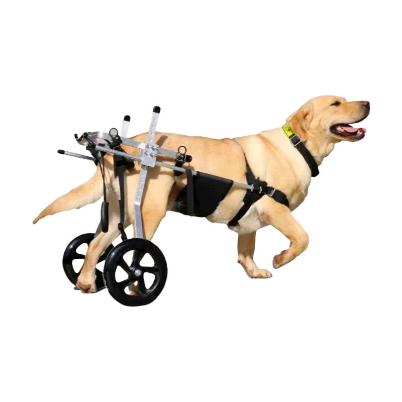 Factory Direct Medium and Large Dog Wheelchair Car Rear Limb Rehabilitation Training Disabled Pet Wheelchair