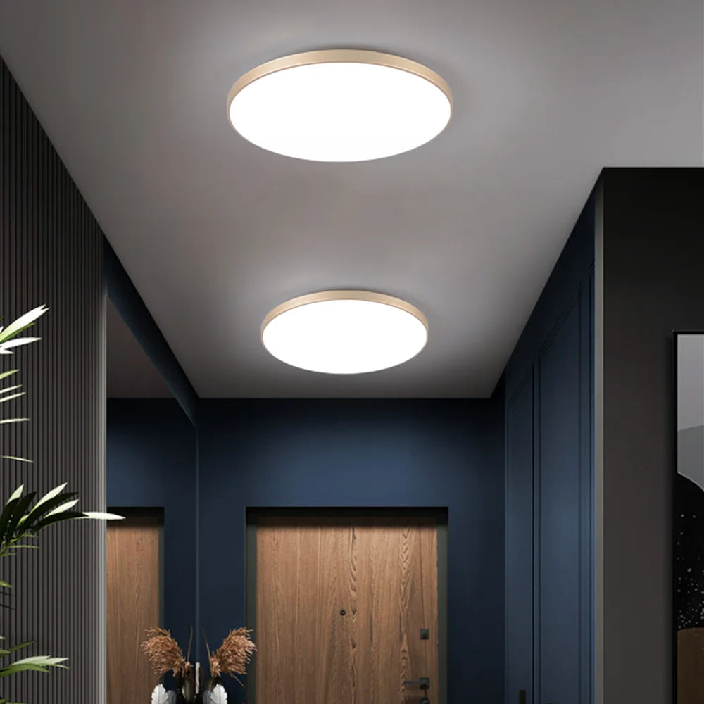 Ultra Thin Ceiling Lights Bathroom LED Ceiling Lights Dingdian LED NEW Easy Installation Modern Panel Dusty Proof AC220V 30W 20