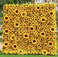 Customizable Sizes Artificial Plants and Flowers Beautiful Artificial Plants Greenery Green Wall Plants Wall Artificial