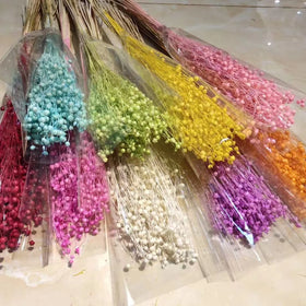 B0170 Wholesales Colorful Dried Acacia Beans Flowers Natural Preserved Dried Rich Beans Flowers Real Real Dried Acacia Beans
