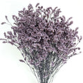 O-X295 Wholesale Dried Eternal Flowers Bouquets Crystal Grass Colorful Natural Preserved Flower Crystal Grass for Home Wedding