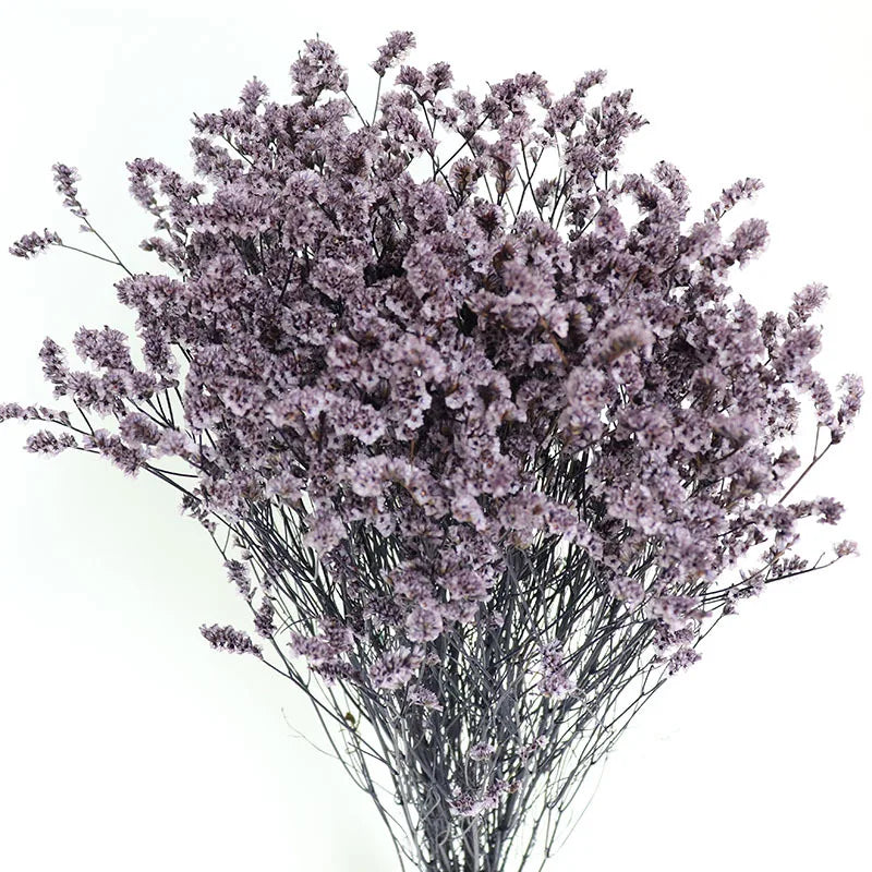 O-X295 Wholesale Dried Eternal Flowers Bouquets Crystal Grass Colorful Natural Preserved Flower Crystal Grass for Home Wedding