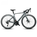 High Quality Custom 20Speed Carbon Fiber Road Cycling Bicycle with Aluminum Disc Brake Top End Fork for Racing Wholesale
