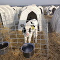 Animal Houses High Standard Plastic Calf Hutch Calf Pen Livestock House for Cattle TERRUI High Quality Cattle House