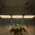 Kingbrite 320W QB288 Board Grow Light Samsung LM301H UV IR Spearate Switch Full Spectrum Dimmable Grow Lamps