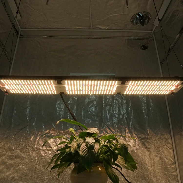 Kingbrite 320W QB288 Board Grow Light Samsung LM301H UV IR Spearate Switch Full Spectrum Dimmable Grow Lamps