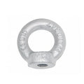 Lifting Eye Nut DIN582 Rigging Hardware Drop Forged Nuts DIN580 Eye Bolt Electric Galvanized Steel Carton Zinc Plated DIN Metric