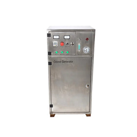 OZOTEK Corona Electric Ozone Generator for Water Treatment 60G Inbuilt PSA Oxygen 100-140mg/L