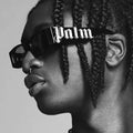 Latest Trending Streetwear Sunglasses Unisex Hip Hop Y2K Narrow Rectangle PC Frame Gold Letter Temples Fashion Daily Wear