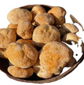 Hou Tou Gu Hotsale Pure Raw Dried Hericium Erinaceus Mushrooms Hericium Erinaceus Fungus for Sale