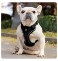 Reflective Breathable Cat Harness & Leash Set – Escape-Proof Vest Style, Easy Control – Size L – EU Local Stock