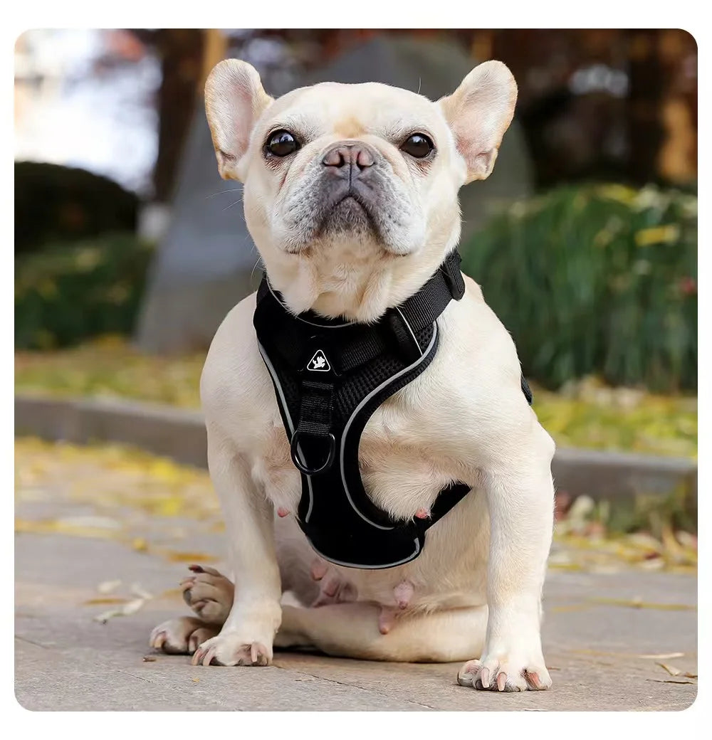 Reflective Breathable Cat Harness & Leash Set – Escape-Proof Vest Style, Easy Control – Size L – EU Local Stock
