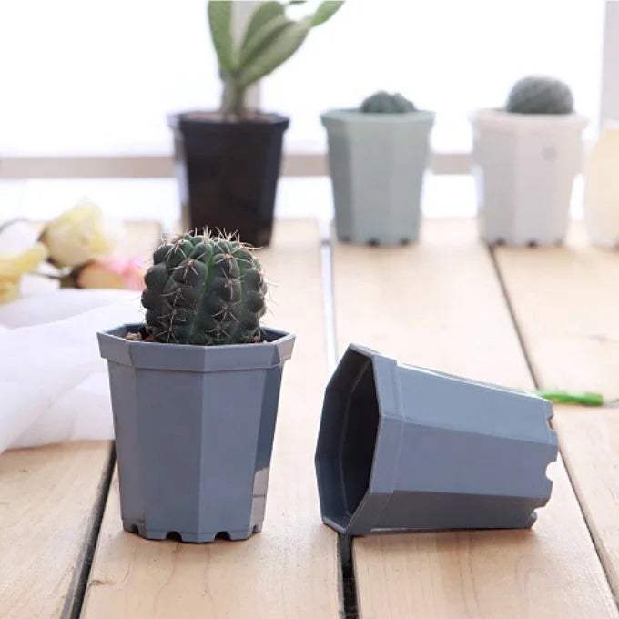 10*9.5cm Small Flower Pot Plastic Nursery Pot Small Succulent Pot