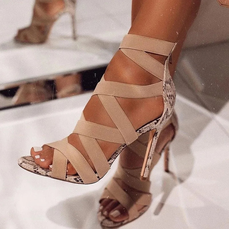 Fashion High Heel Batacha Ballroom Dance Shoes 10cm Jazz Salsa Shoes for Women
