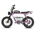 Factory Ready Electric Bike Adult 48V 1000W Motor Cheap E Bike Max Speed 41km/H Customized Fatbike Electric