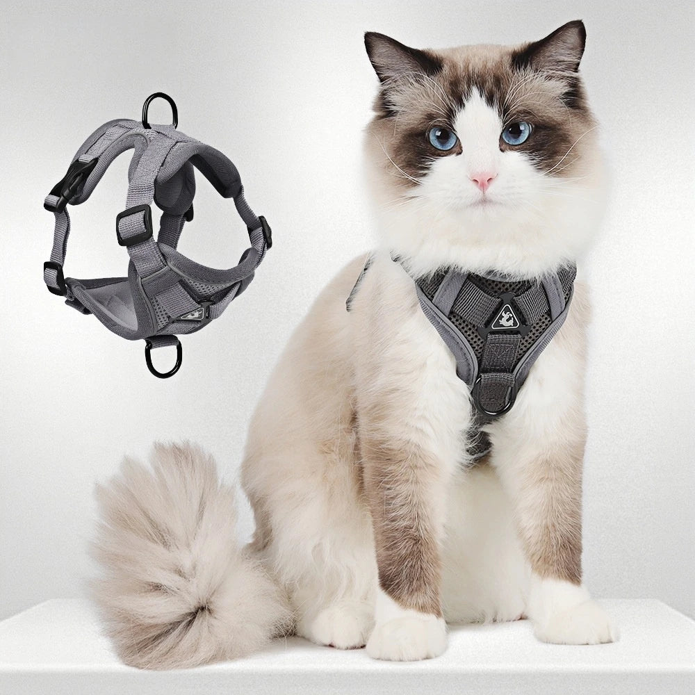 Fashion Reflective Polyester Escape Proof Pet Harness Vest for Cats Small Dogs Adjustable Comfort Padded 2In1 Leash Walking Set