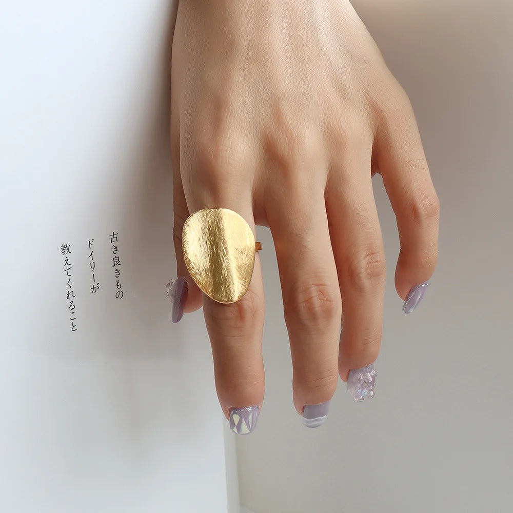 Wholesales Titanium Steel French Exaggerated Special-Shaped Brushed Matte Light Luxury Texture Women's Index Finger Ring