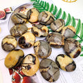 Wholesale Price Septarium Palms Septarian Stone Crystal Quartz Palms Healing Crafts Reiki Gifts