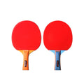 Regail LP-1066 Blue and Orange Table Tennis Racket 2020 Hot Sale  Sports Cheap Ping Pong Paddle Bats Table Tennis Rackets