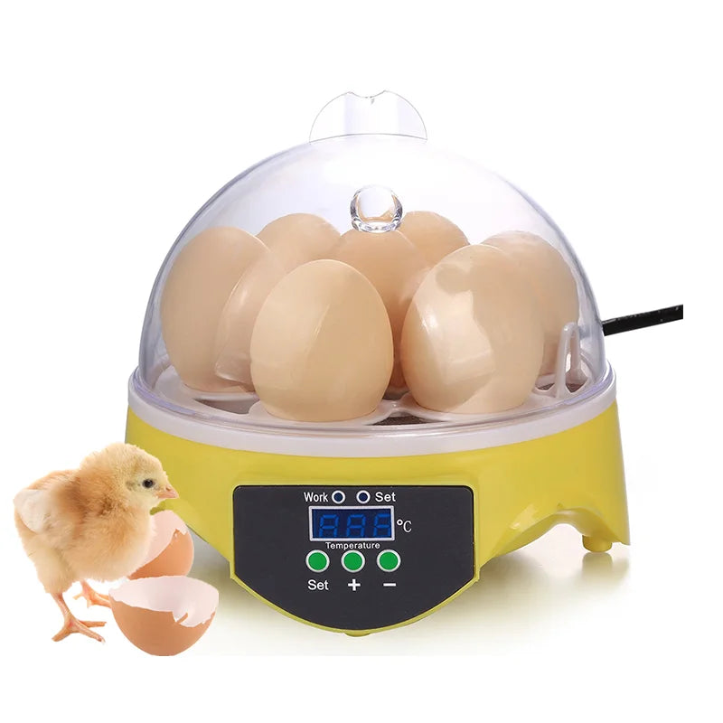 HHD 7 Mini Hatching Eggs Chicken Quail Automatic Egg Hatchery Machine Egg Incubator