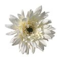 Artificial Large Silk Flower Single Long Stem Wedding  Decoration Chrysanthemum Picnic Bouquet  Parts of Artificial Flower Heads
