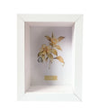 8x10 Shadow Box Display Case for Memorabilia Pins Awards Medals Ticketsdried Flower and Photos Wood Shadow Box Frame