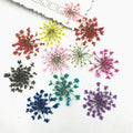 Y-E003 2.5cm Embossed Small Dried Lace Flowers Real Dried Pressed Flower for Makeup Nail Stickers Handmade Crafting Jewelry