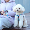 Teddy Anti-Break Dog Vest Small Large Sizes Fashion Style Button Padded Chest Strap Made Durable Polyester Featuring Printed