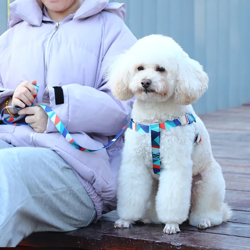 Teddy Anti-Break Dog Vest Small Large Sizes Fashion Style Button Padded Chest Strap Made Durable Polyester Featuring Printed