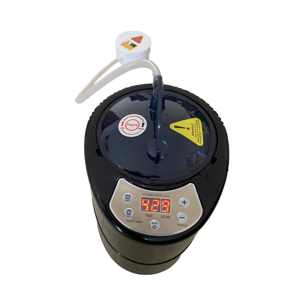 4.2L Modern Acrylic Spa Sauna Steam Generator Heater 2000W Wet Computer Control Panel Bathroom Stove for Apartment Use