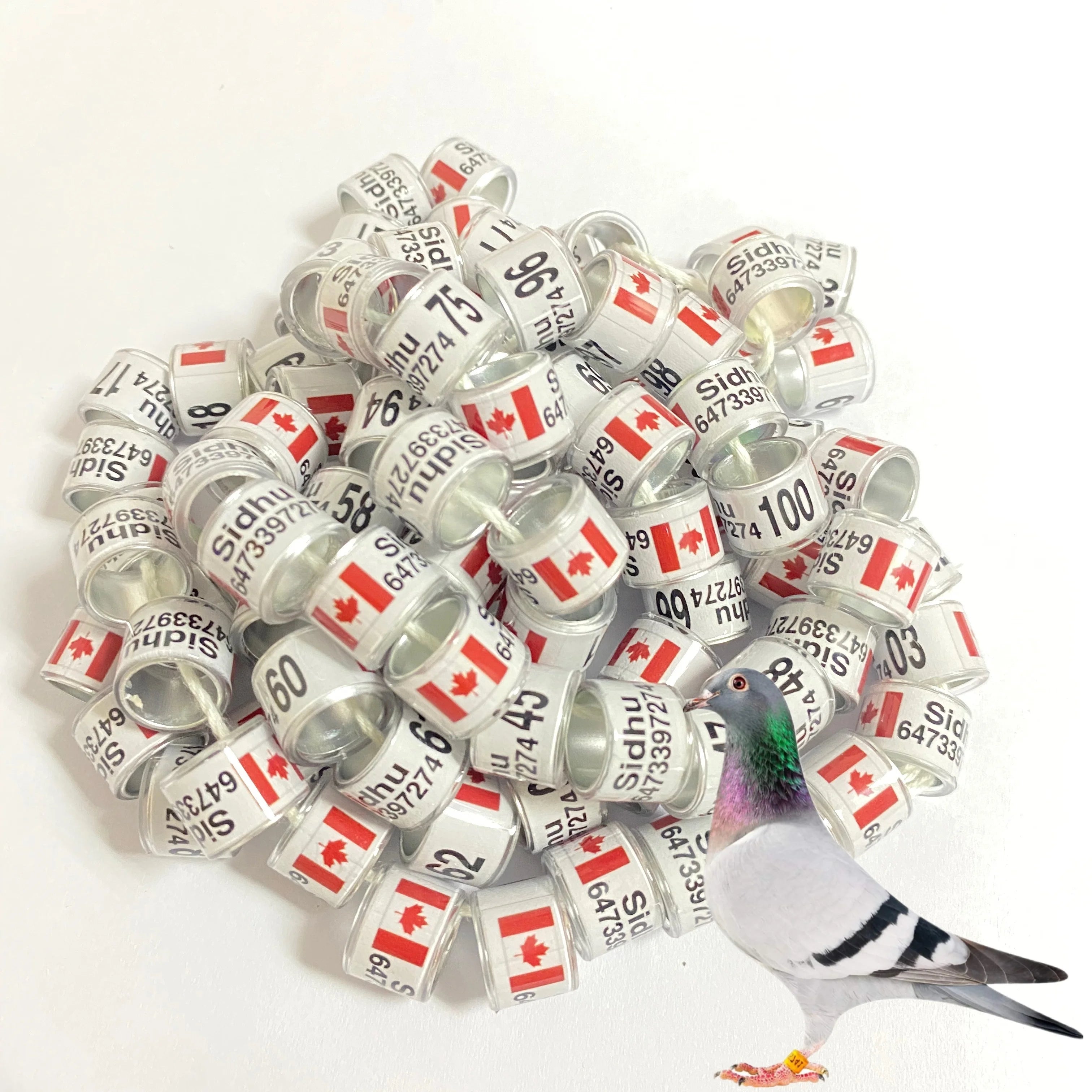 Pigeon Club National Ring Custom Association Pigeon Ring Plus Flag 10MM//`1