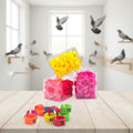 Free Samples All Size Picture Foot Leg Benzing Anillos De Paloma Bird Ring 4mm 4.5mm 8mm 9mm Love Bird Leg Rings Open