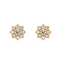 Chris April 316L Stainless Steel Gold Jewelri Pvd Cluster Simple Zircon Stud Earrings