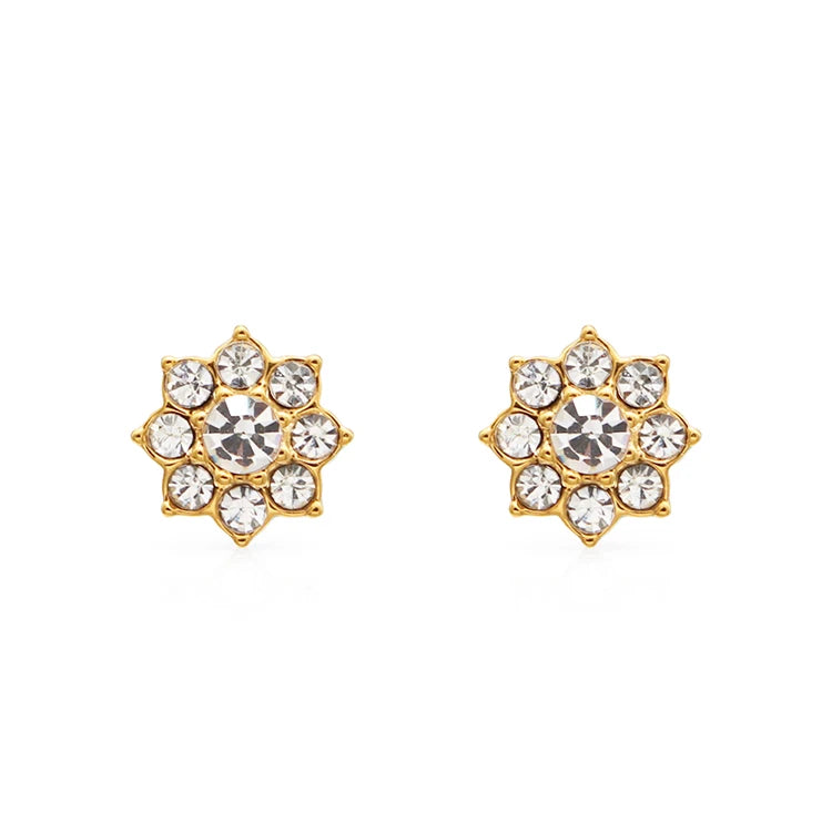 Chris April 316L Stainless Steel Gold Jewelri Pvd Cluster Simple Zircon Stud Earrings
