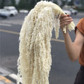 S02115 Natural Flower Preserved Lover's Tear Dried  Amaranthus Preserved Hanging Flower Amaranthus for Flower Arrangement
