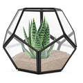 Geometric Glass Terrarium Container for Garden Air Plant Display Window Sill Decor Shelves Succulent Cacti Fern Flowerpot Holder