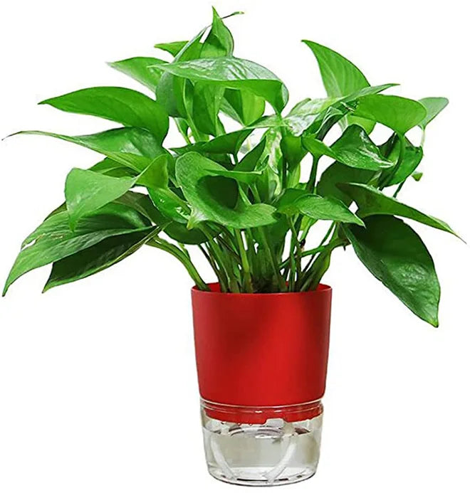Wholesale 4.5" Self Watering Plastic Planter Wicking Pots Automatic Watering Planter Pots for All House Plants Succulents Herbs