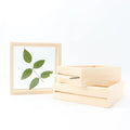 Double-side Glass Transparent Plant Specimen Wood Photo Frame 3d Cheap Double Glass Plant Leaf Specimen Wood Photo Frame