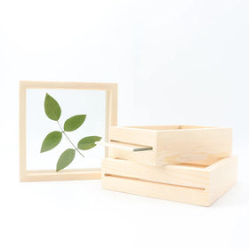 Double-side Glass Transparent Plant Specimen Wood Photo Frame 3d Cheap Double Glass Plant Leaf Specimen Wood Photo Frame