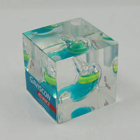 Acrylic Embedment Gift Craft Plastic Kidney Paperweight Folk Art 6x6x6cm